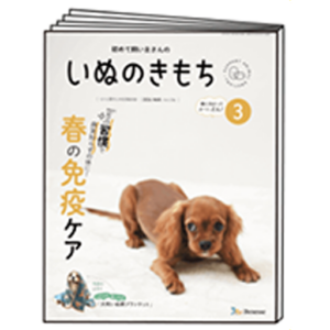 雑誌　いぬのきもち